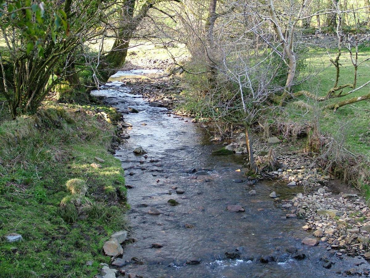 Homer Farm Marytavy Kültér fotó