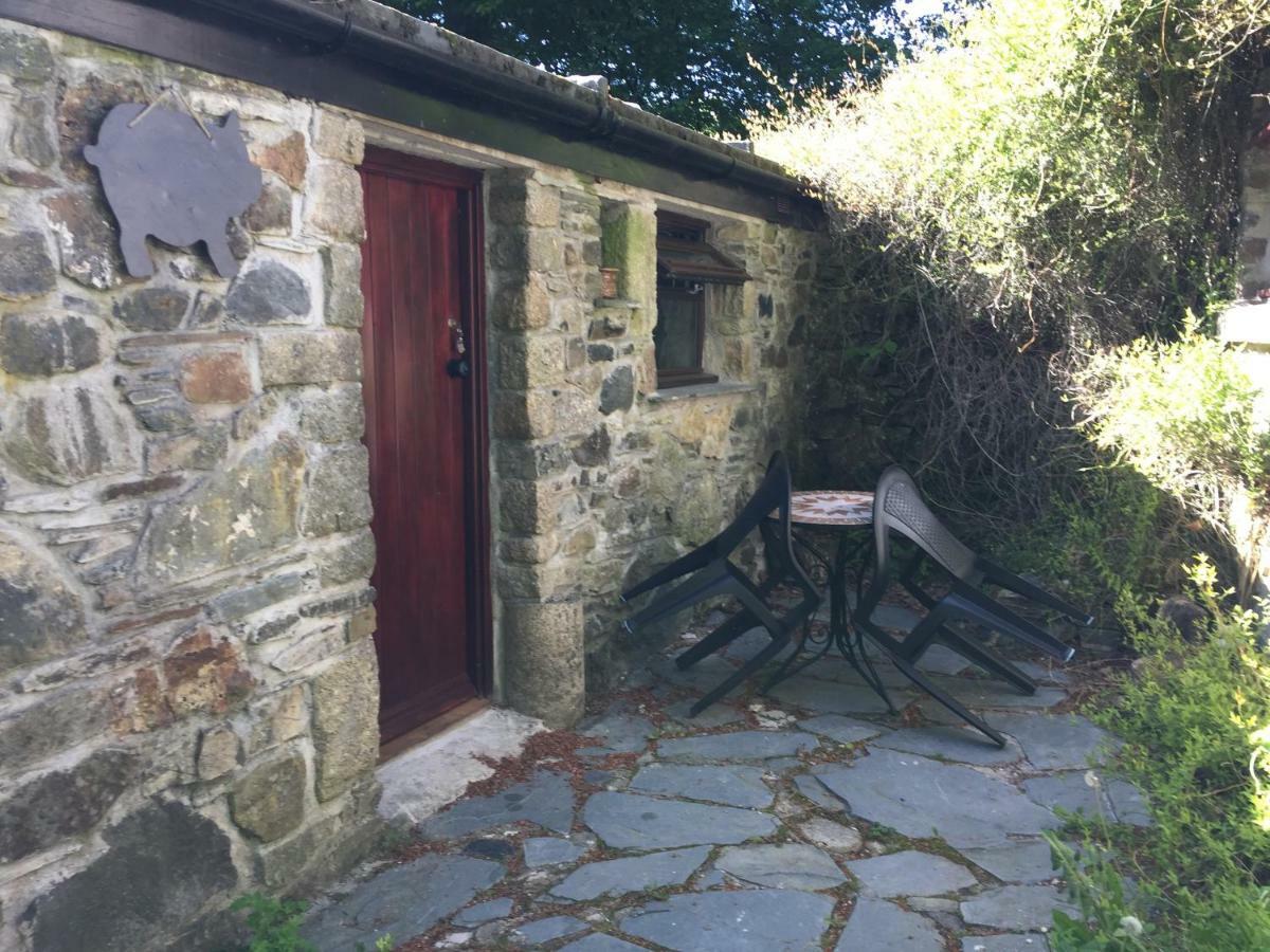 Homer Farm Marytavy Kültér fotó